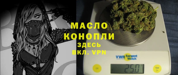 СК Алексин