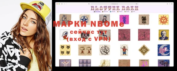 СК Алексин